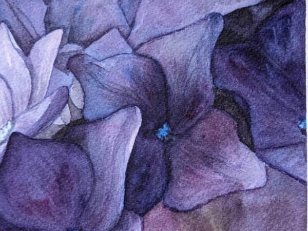 watercolors hydrangeas